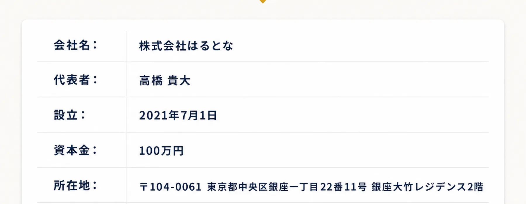 LP最下部に埋め込まれた「会社概要」の表。会社名・代表者・設立日・資本金・所在地は記載されているが、電話番号や販売価格、返品・解約についての記載欄はない